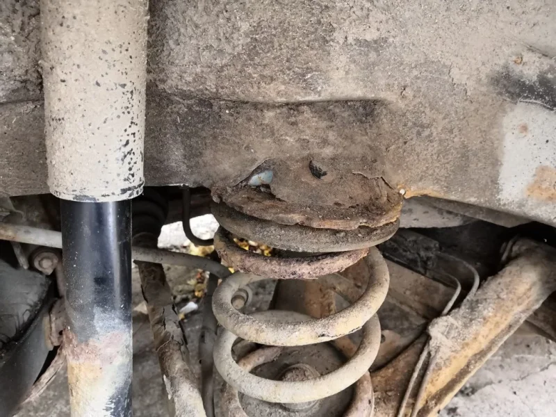 IMG_20201107_112304.webp