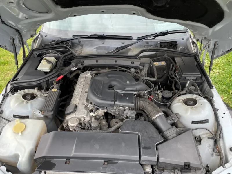 CAR29.webp