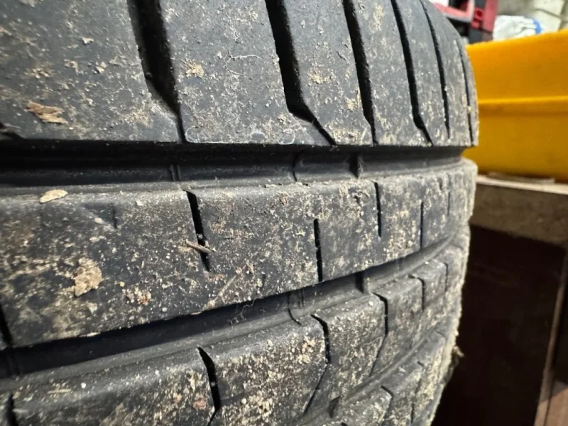 IMG_8480.webp
