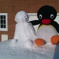 Pingu