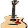 Acousticplayer