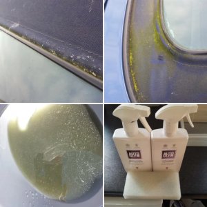 BMW Z3 Hood Clean 2014