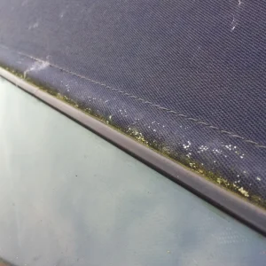 BMW Z3 Hood Clean - Before