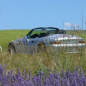 Media 'Provence 2012' in category 'August 2014'