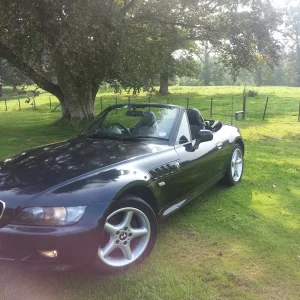 Media 'bad' in category 'BMW Z1'