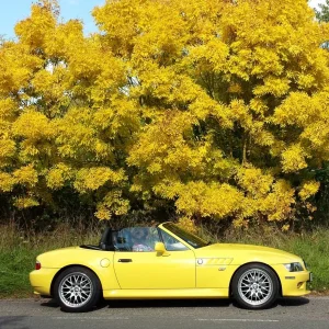 Media 'Yellow Peril' in category 'October 2015'