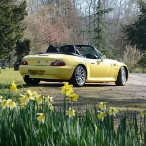Media 'Out with the Daffs!' in category 'March 2016'