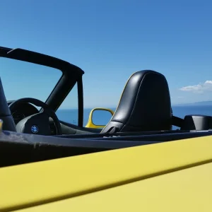A day in may