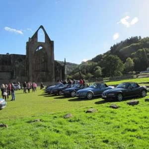 Autumn Colours Cruise, 16 Oct 2016
