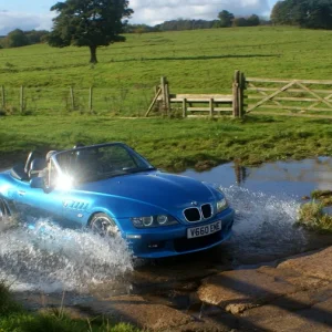 Autumn splash