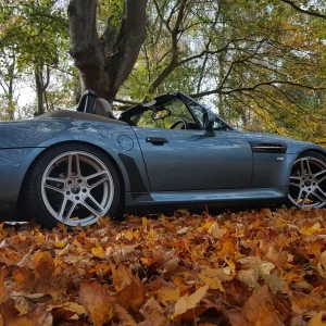 Media 'Autumn Colours' in category 'March 2017'