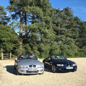 New Forest 1
