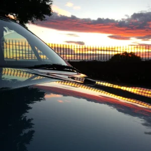 Sunset Zed