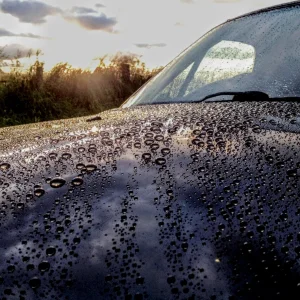 Raindrops, sun and moon.