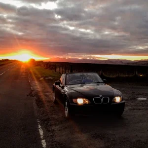 Zedding in the Gloaming