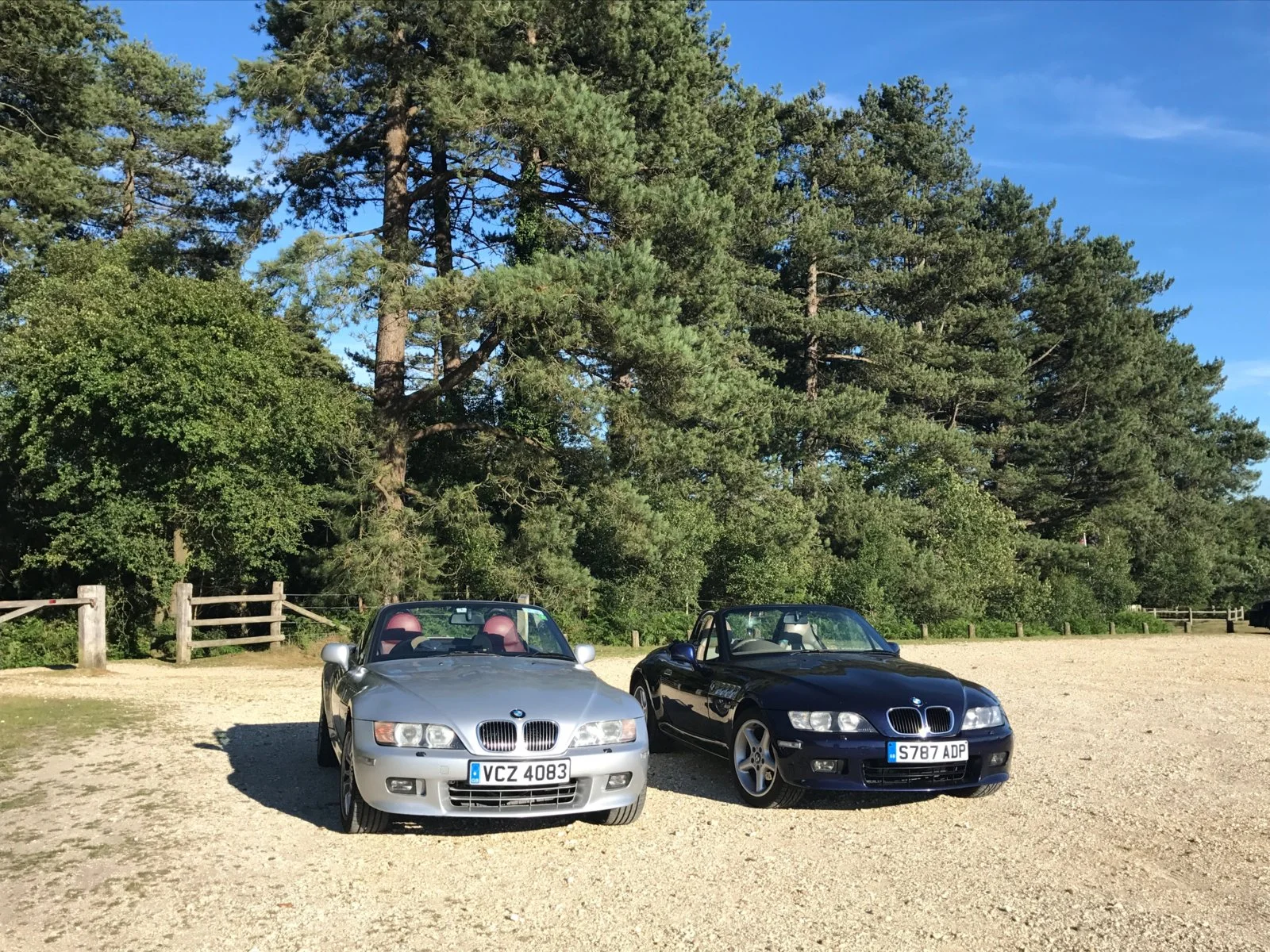 New Forest 1