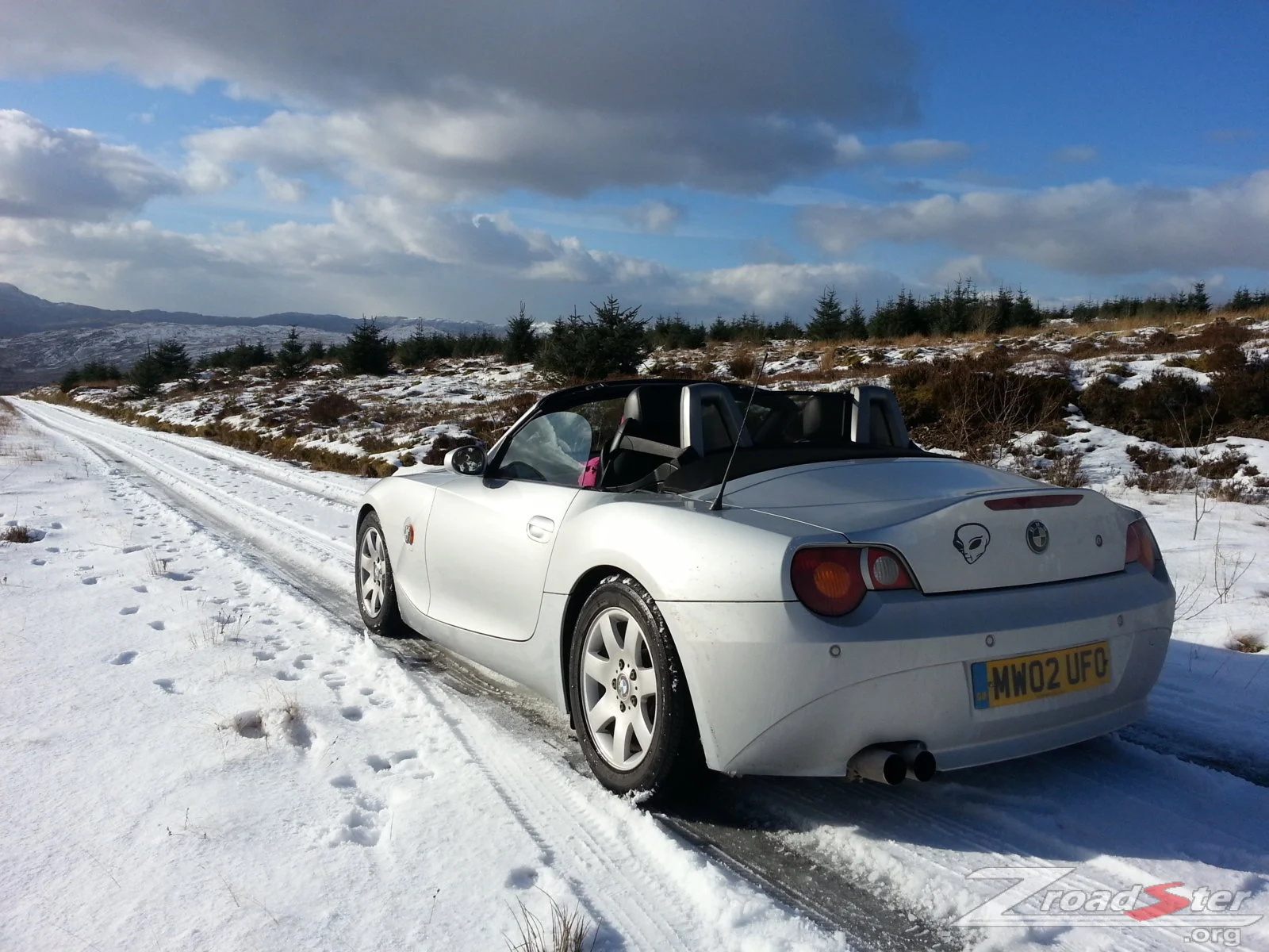 Zed in the welsh snow